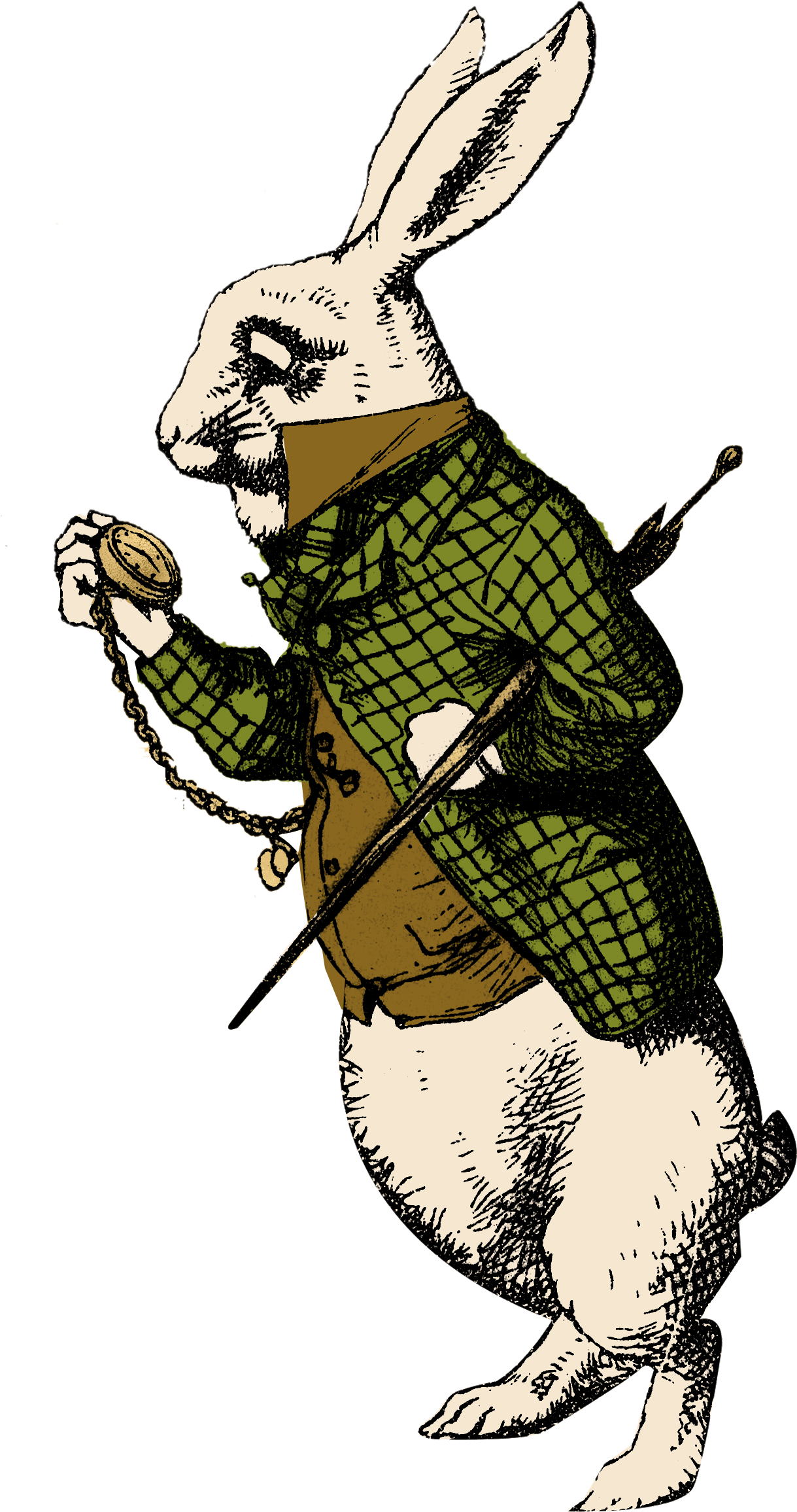 White rabbit in a green tweed jacket, holding a pocket watch